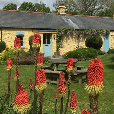 Charming Welsh Cottage Johnston Exterior foto